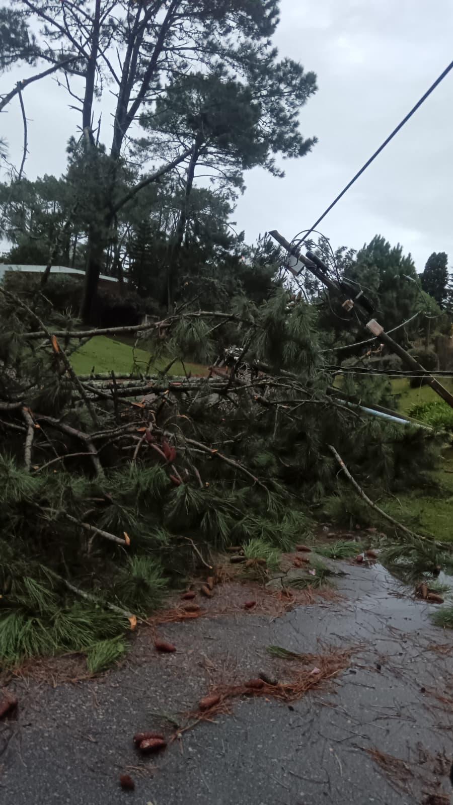 Imagen 7 de la galería