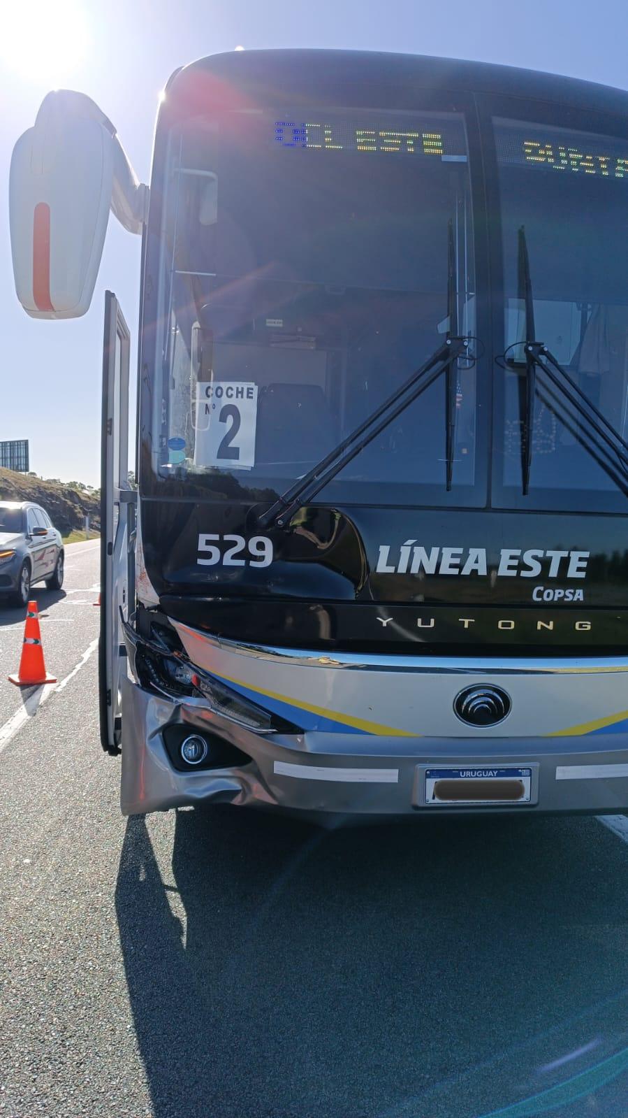 Imagen 2 de la galería