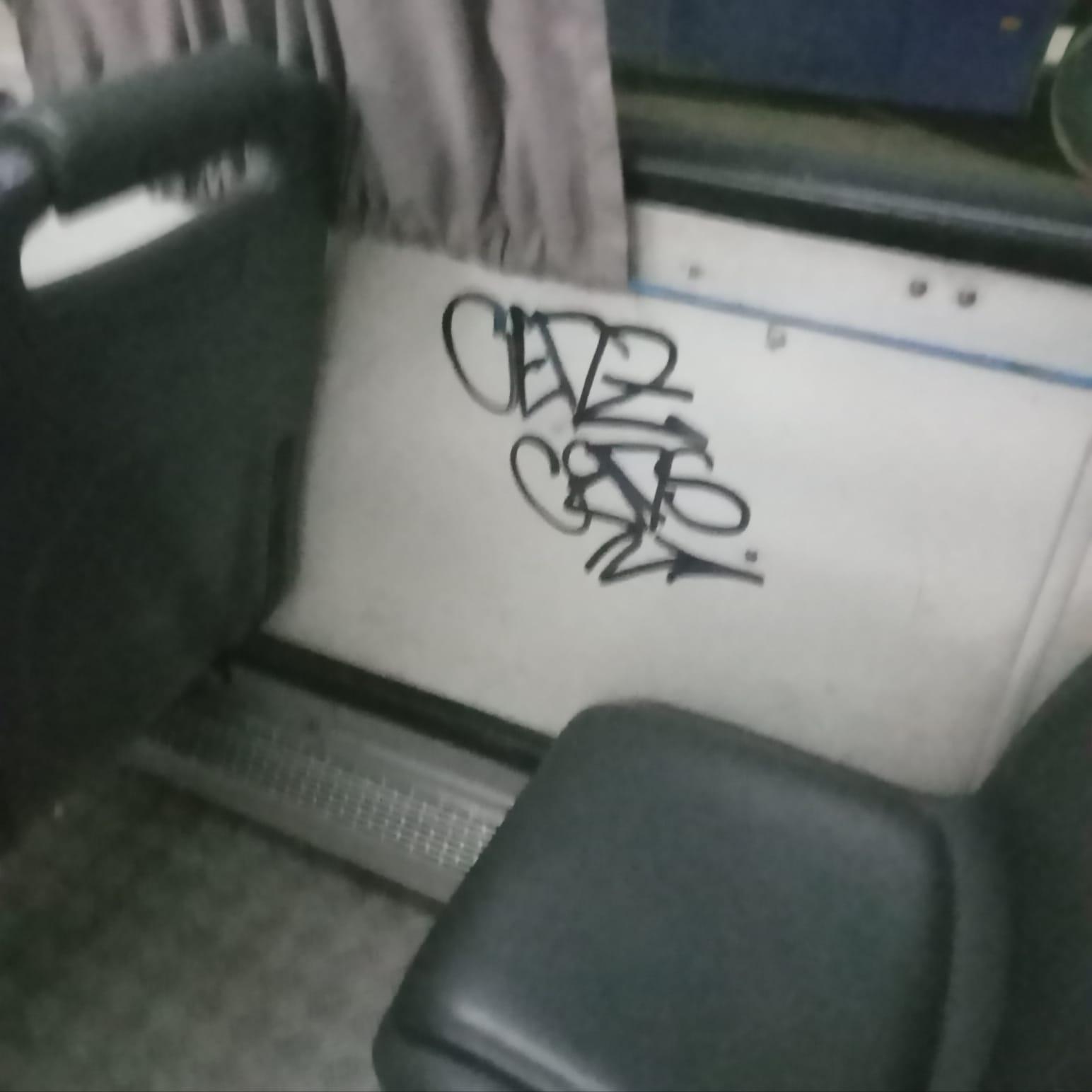 Imagen 4 de la galería