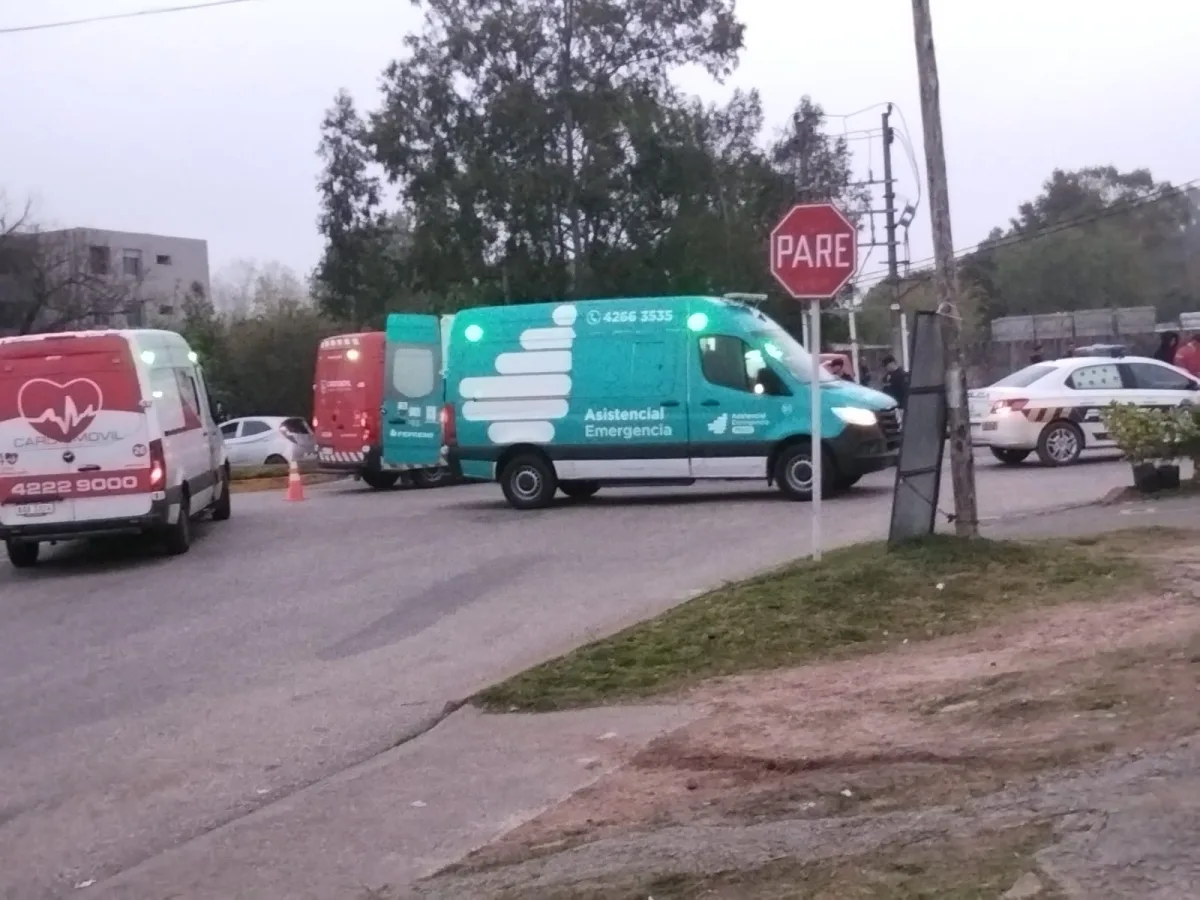 Imagen 1 de la galería