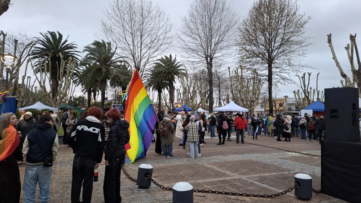 Imagen 2 de la galería