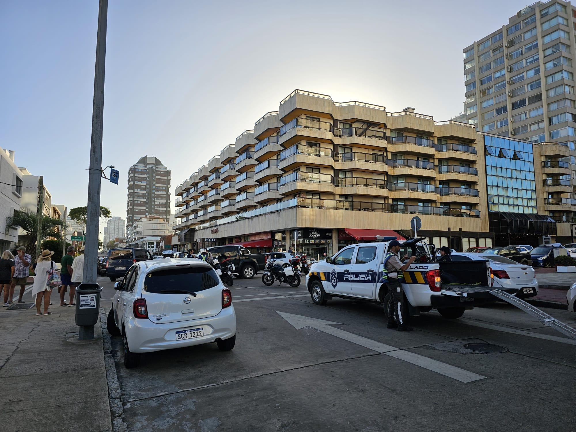 Imagen 3 de la galería