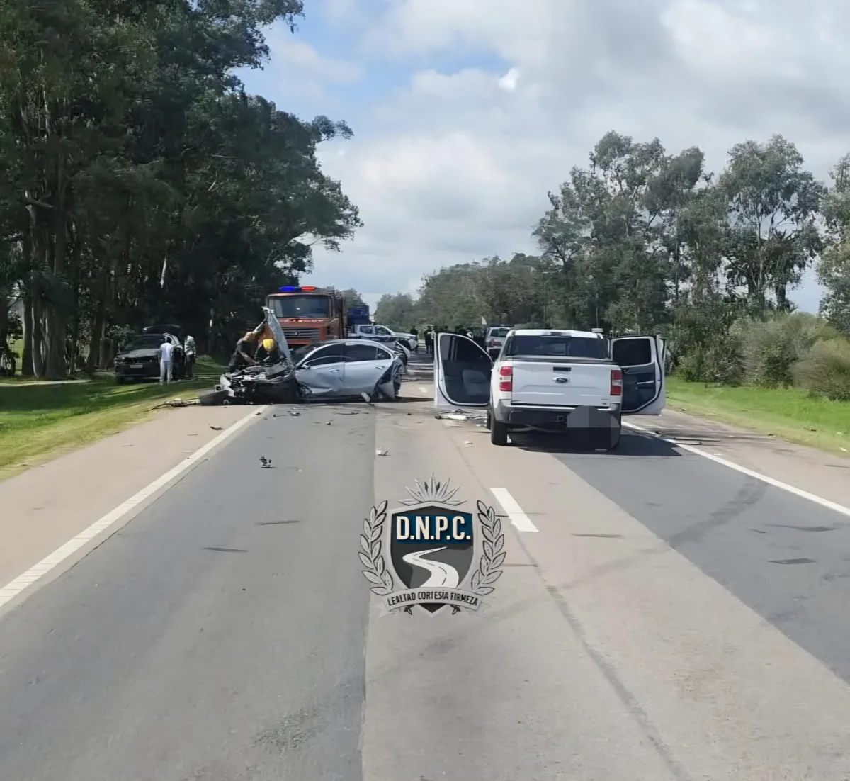 Imagen 1 de la galería