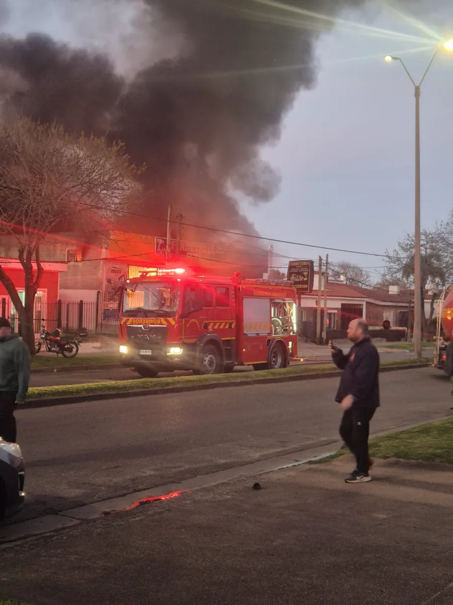 Imagen 4 de la galería