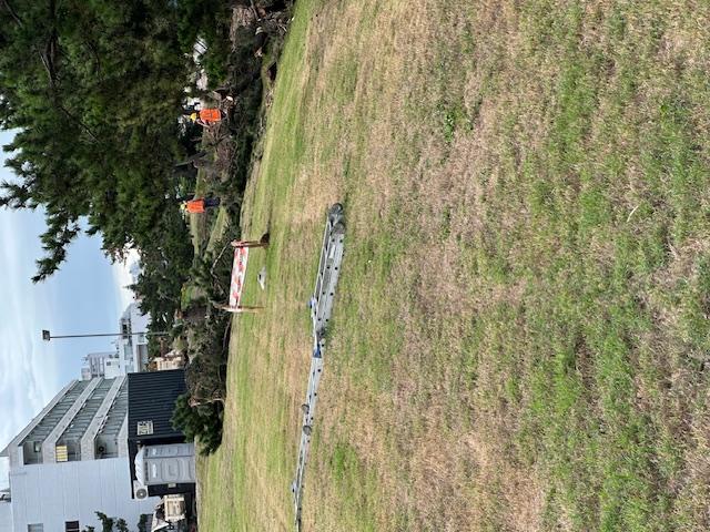 Imagen 2 de la galería