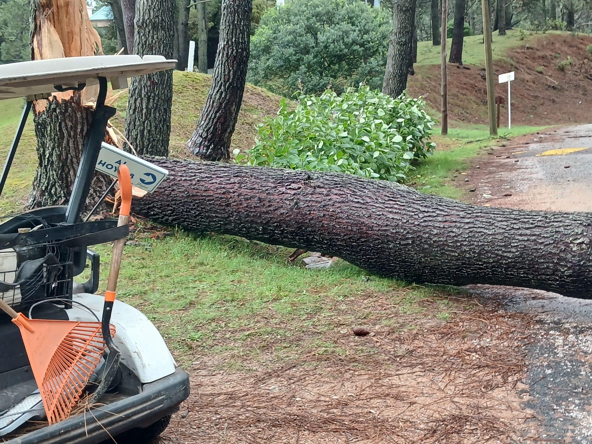 Imagen 5 de la galería