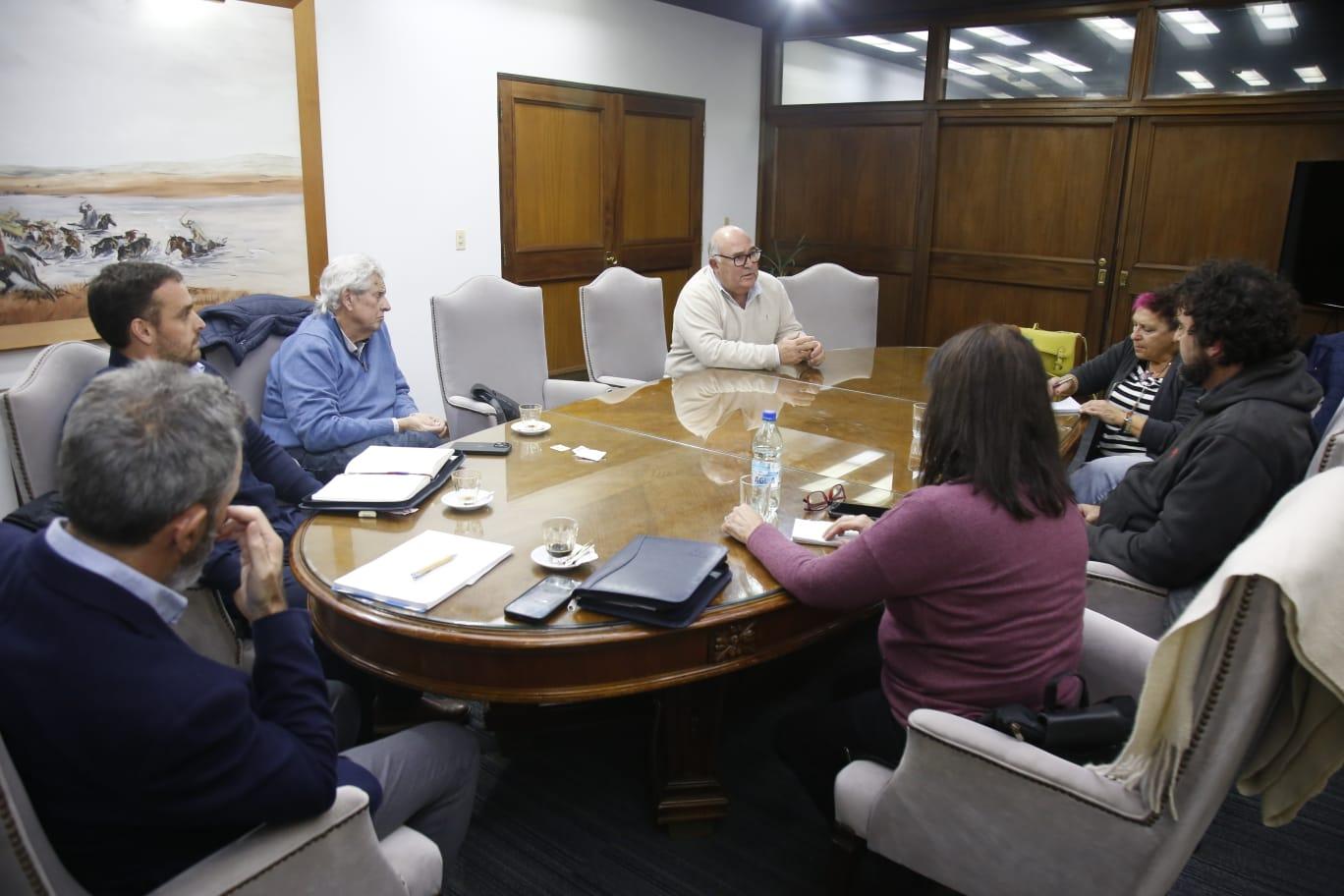 Imagen 2 de la galería