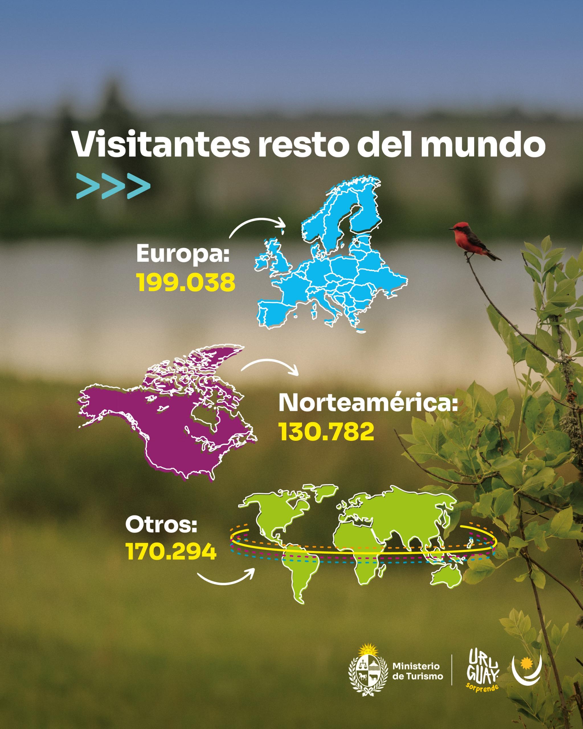 Imagen 4 de la galería