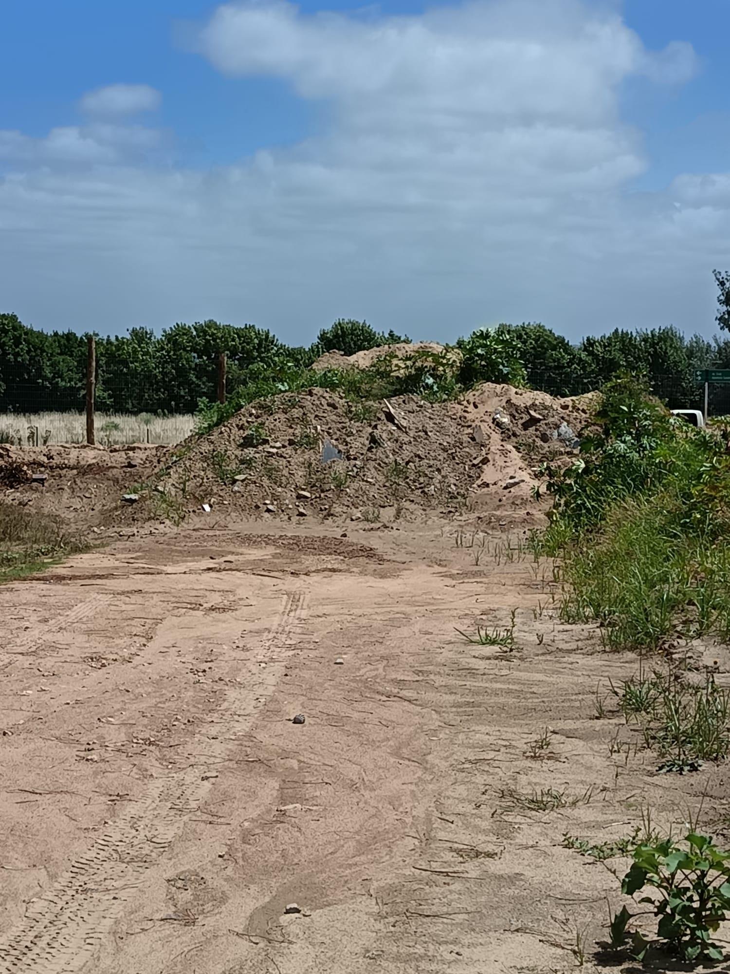 Imagen 3 de la galería