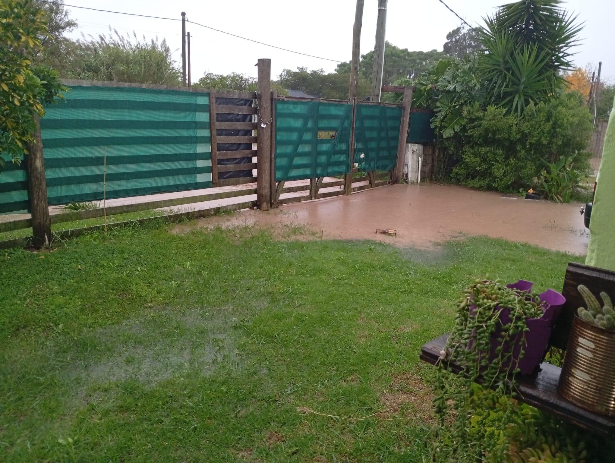 Imagen 2 de la galería