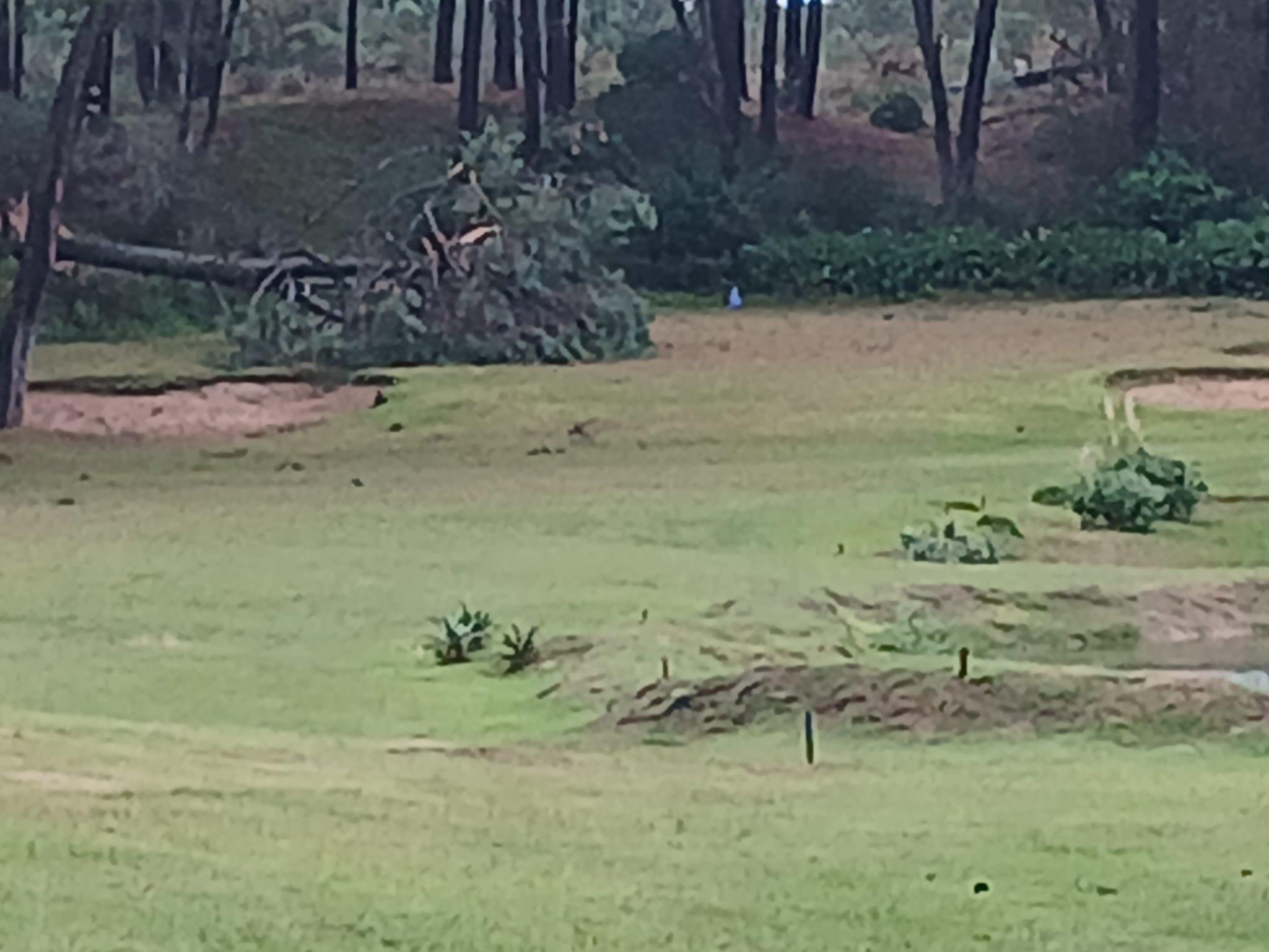 Imagen 6 de la galería