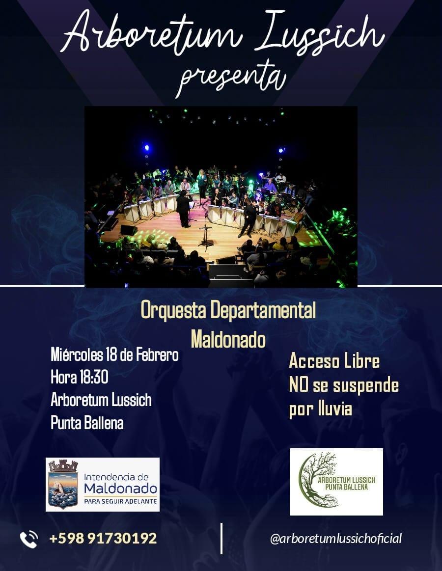 Imagen 4 de la galería