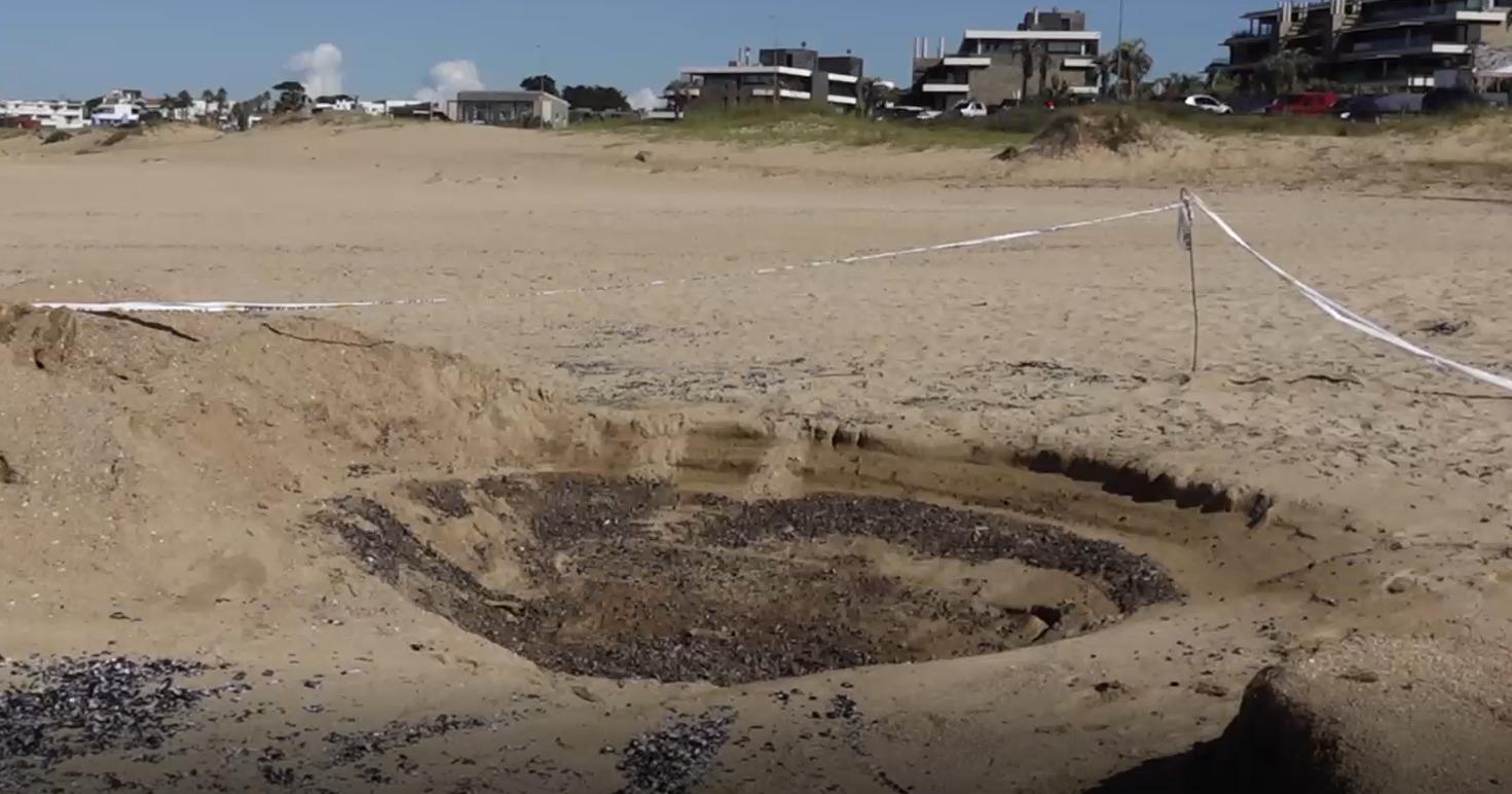 Imagen 5 de la galería