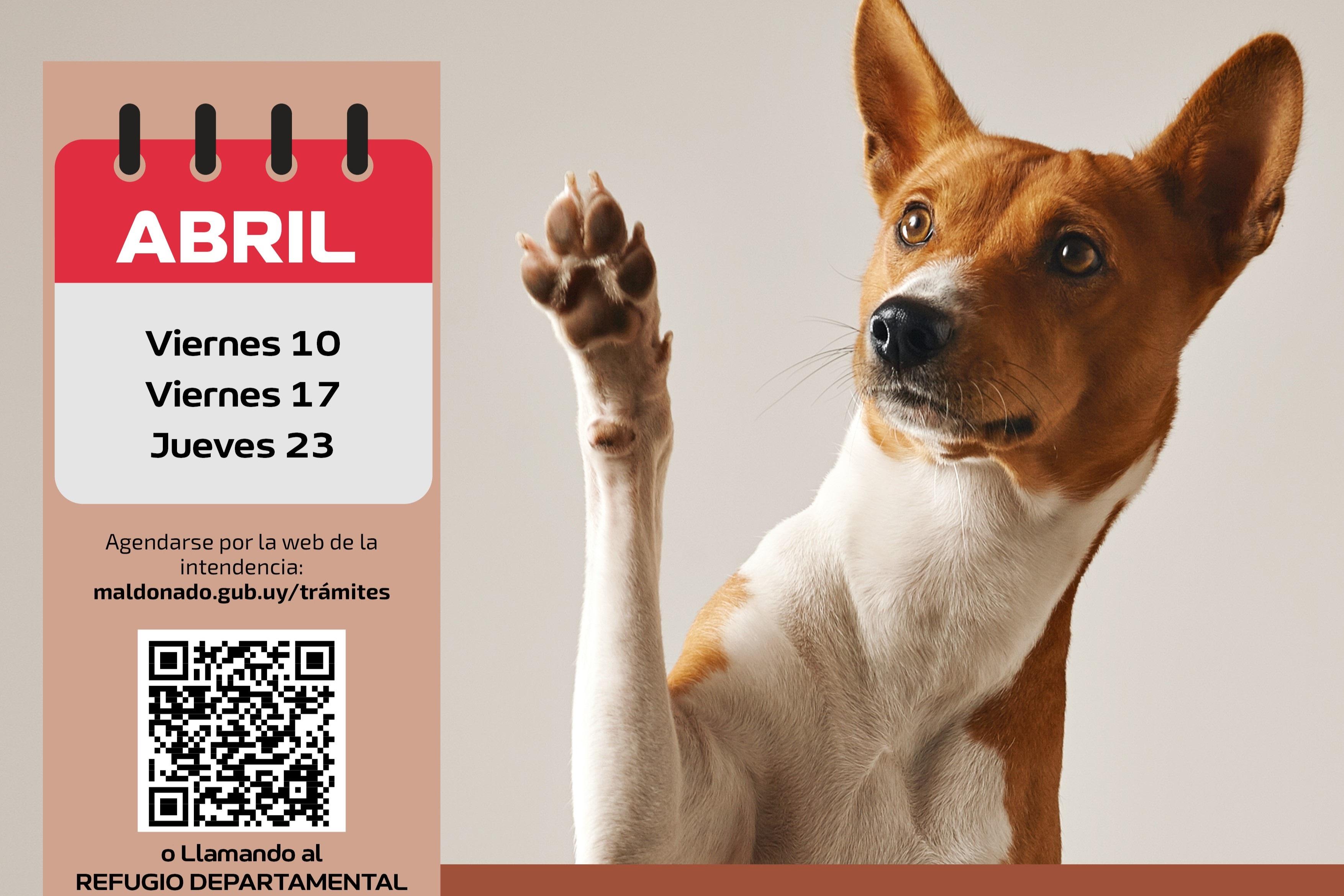 Imagen 1 de la galería