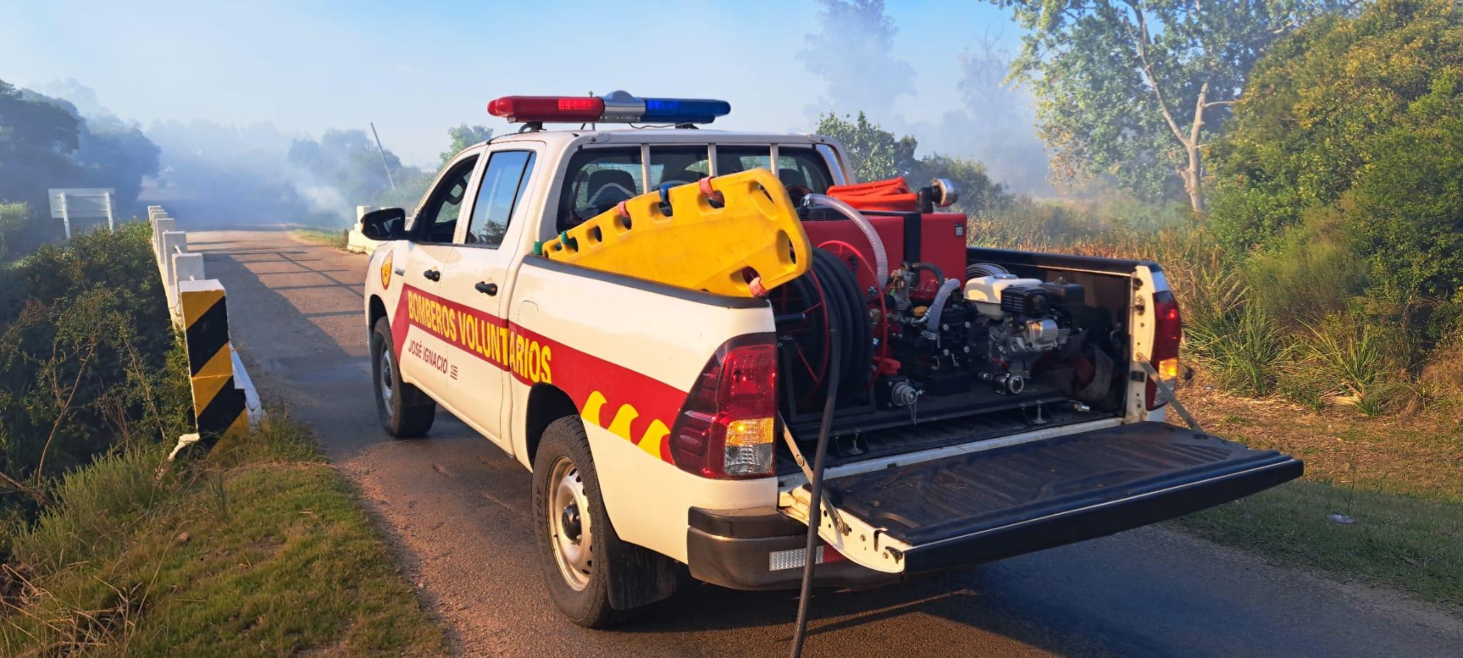 Imagen 4 de la galería