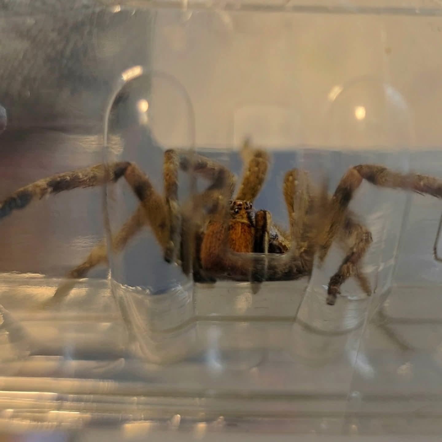 Imagen 3 de la galería