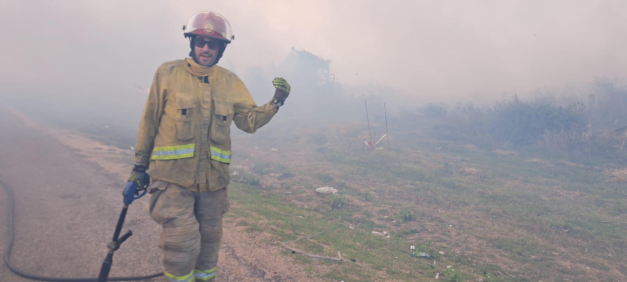 Imagen 5 de la galería