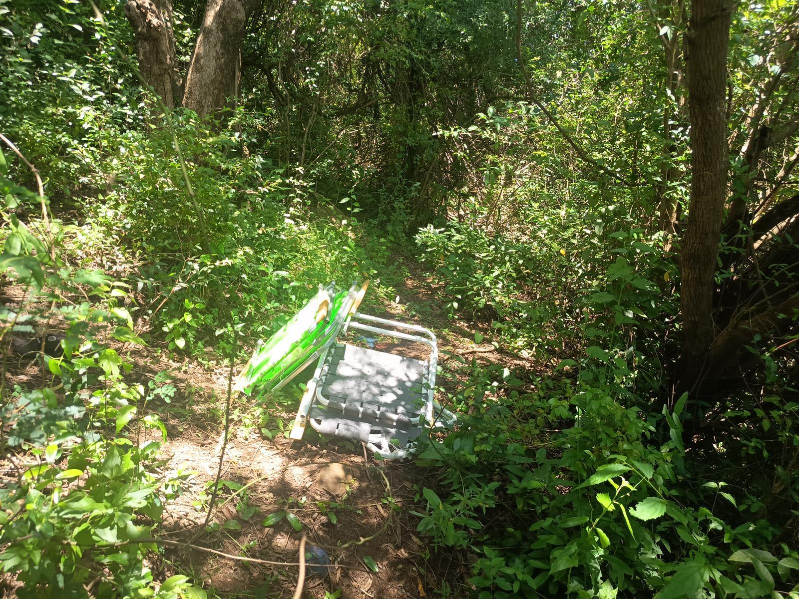 Imagen 3 de la galería