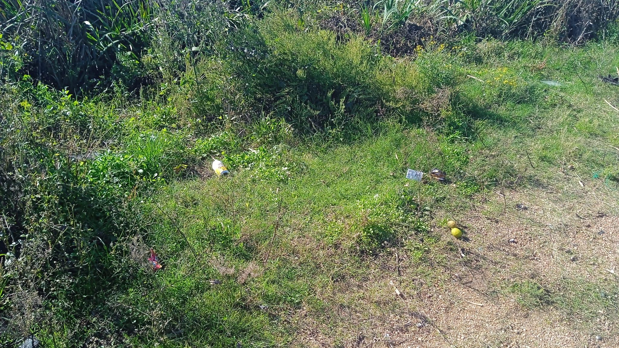 Imagen 2 de la galería