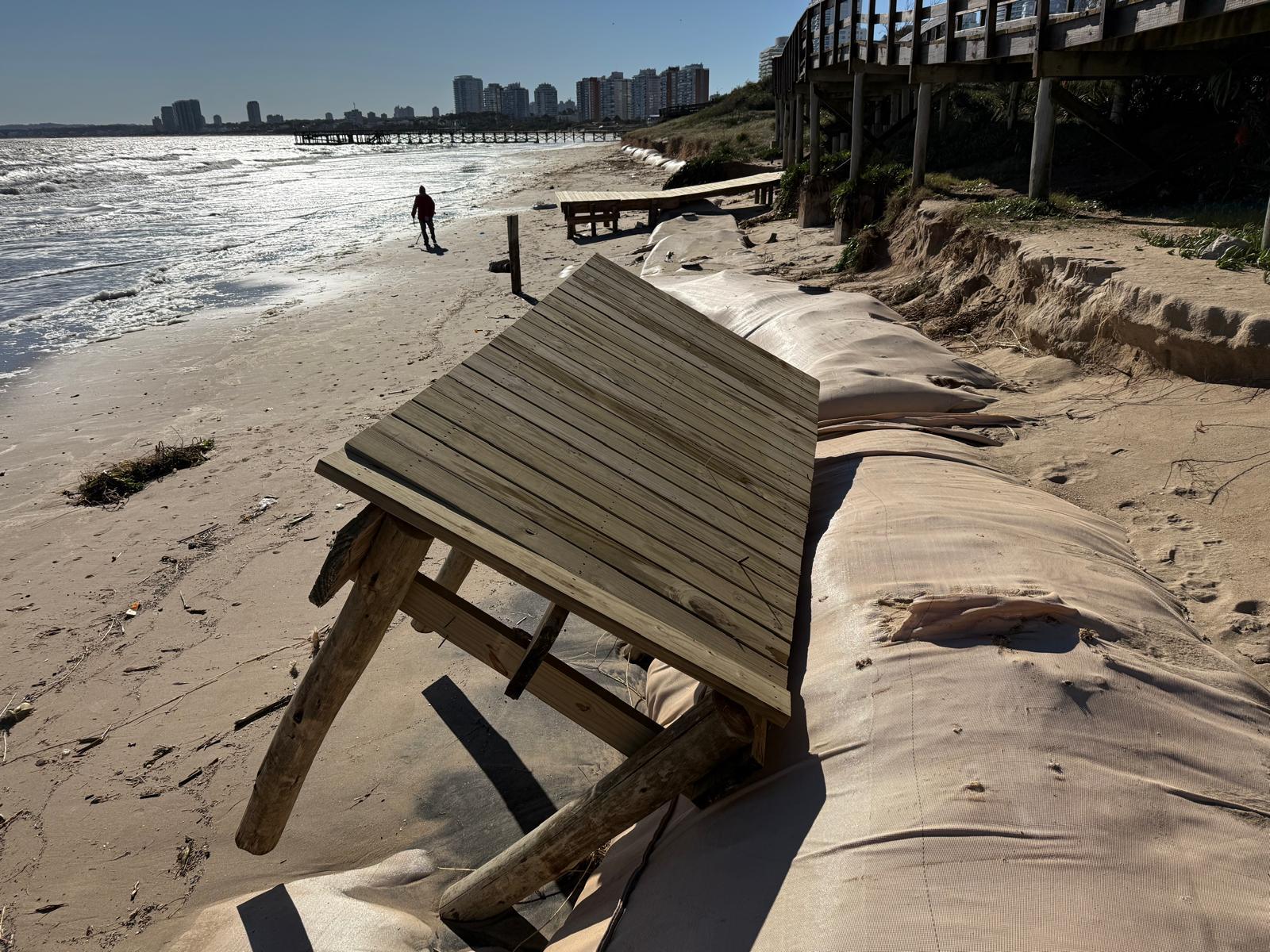 Imagen 5 de la galería