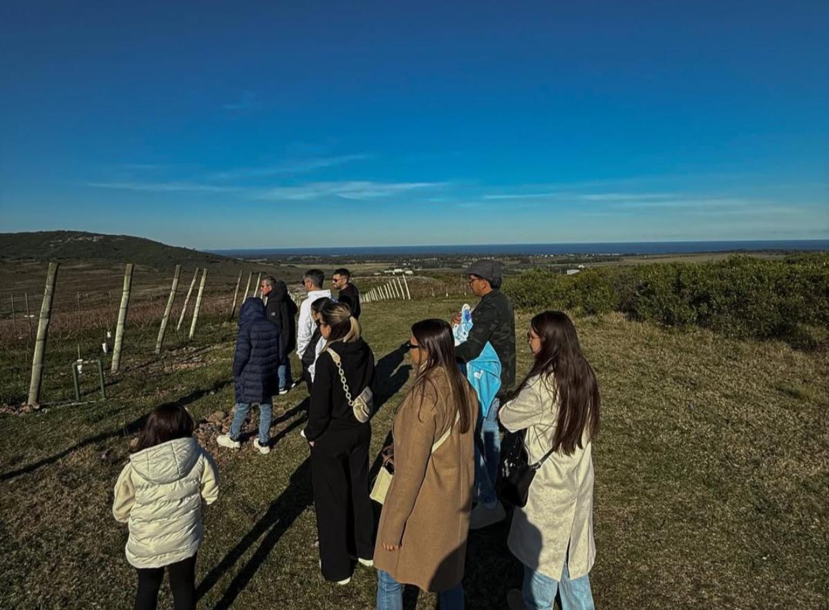 Imagen 2 de la galería