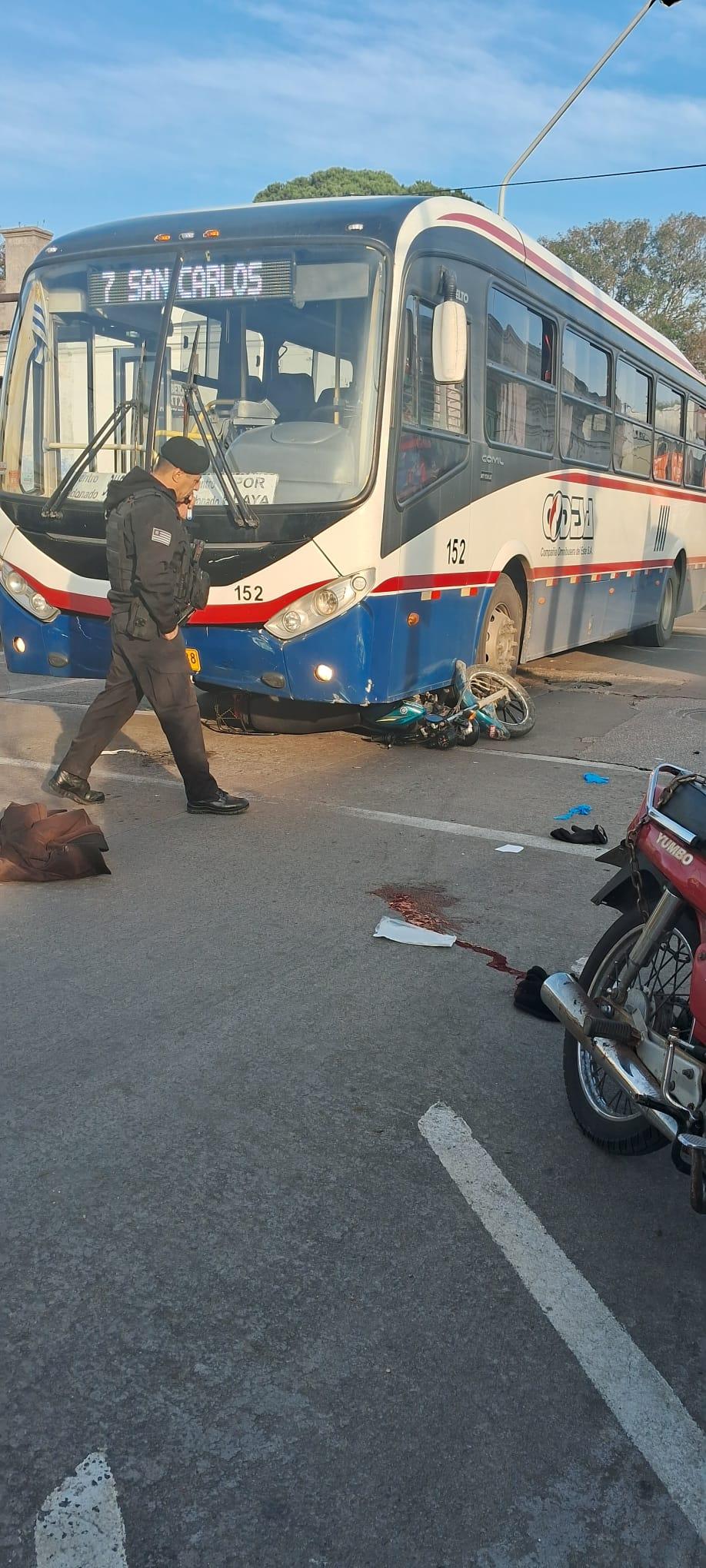 Imagen 3 de la galería