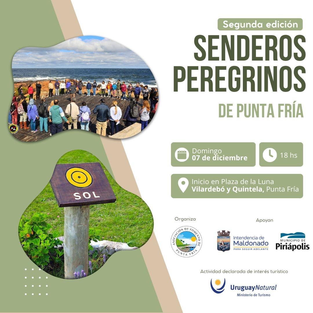 Imagen 1 de la galería