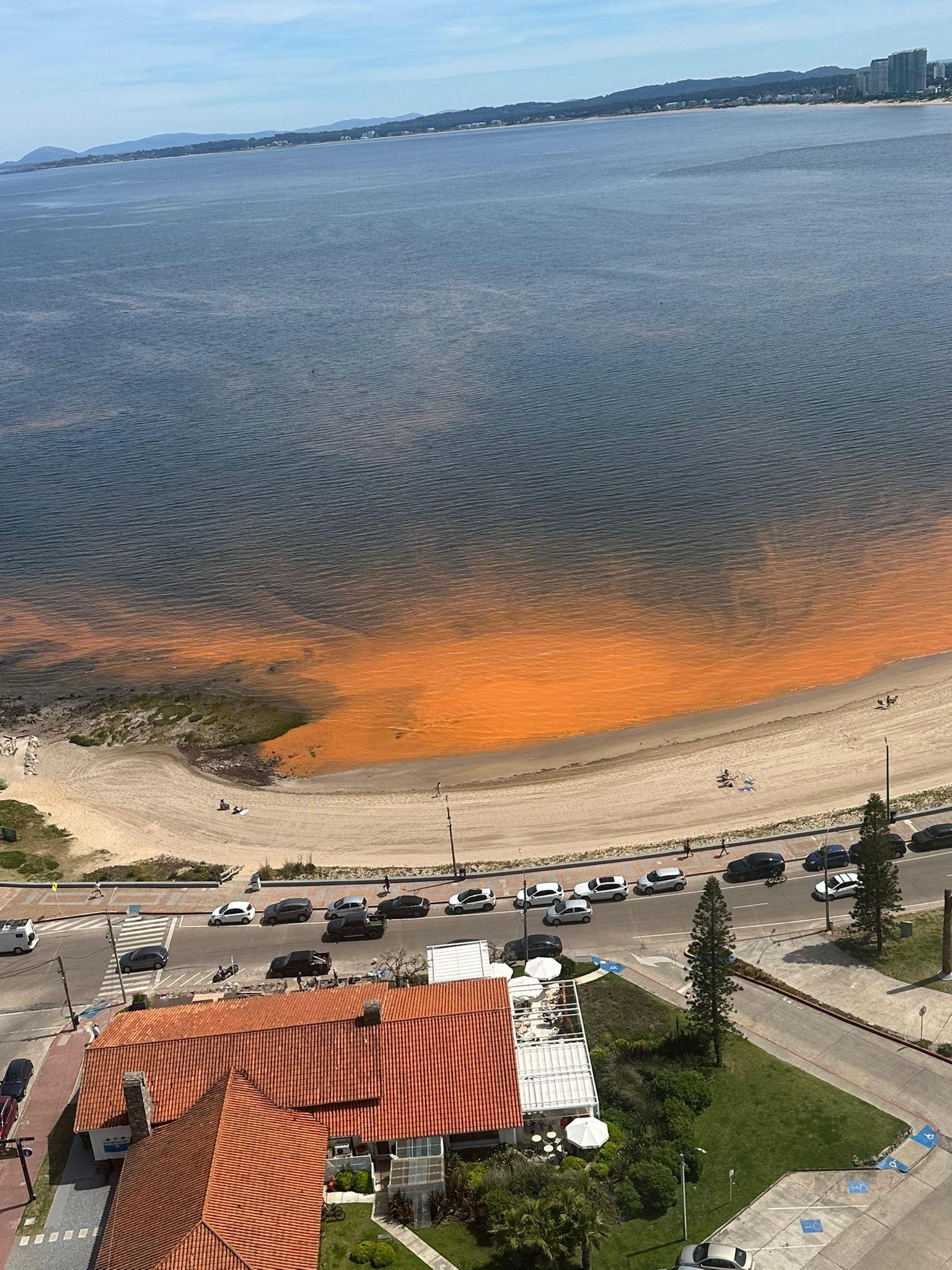 Imagen 2 de la galería