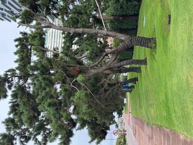 Imagen 3 de la galería