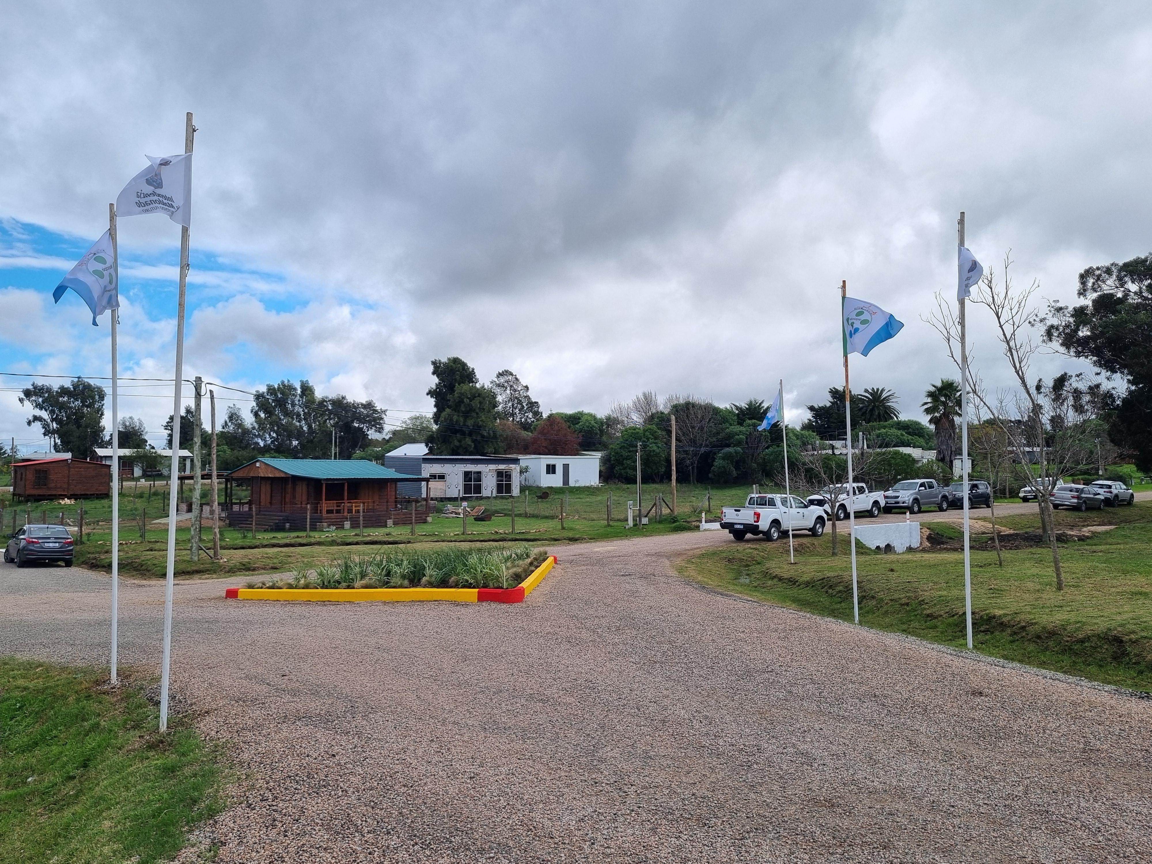 Imagen 5 de la galería