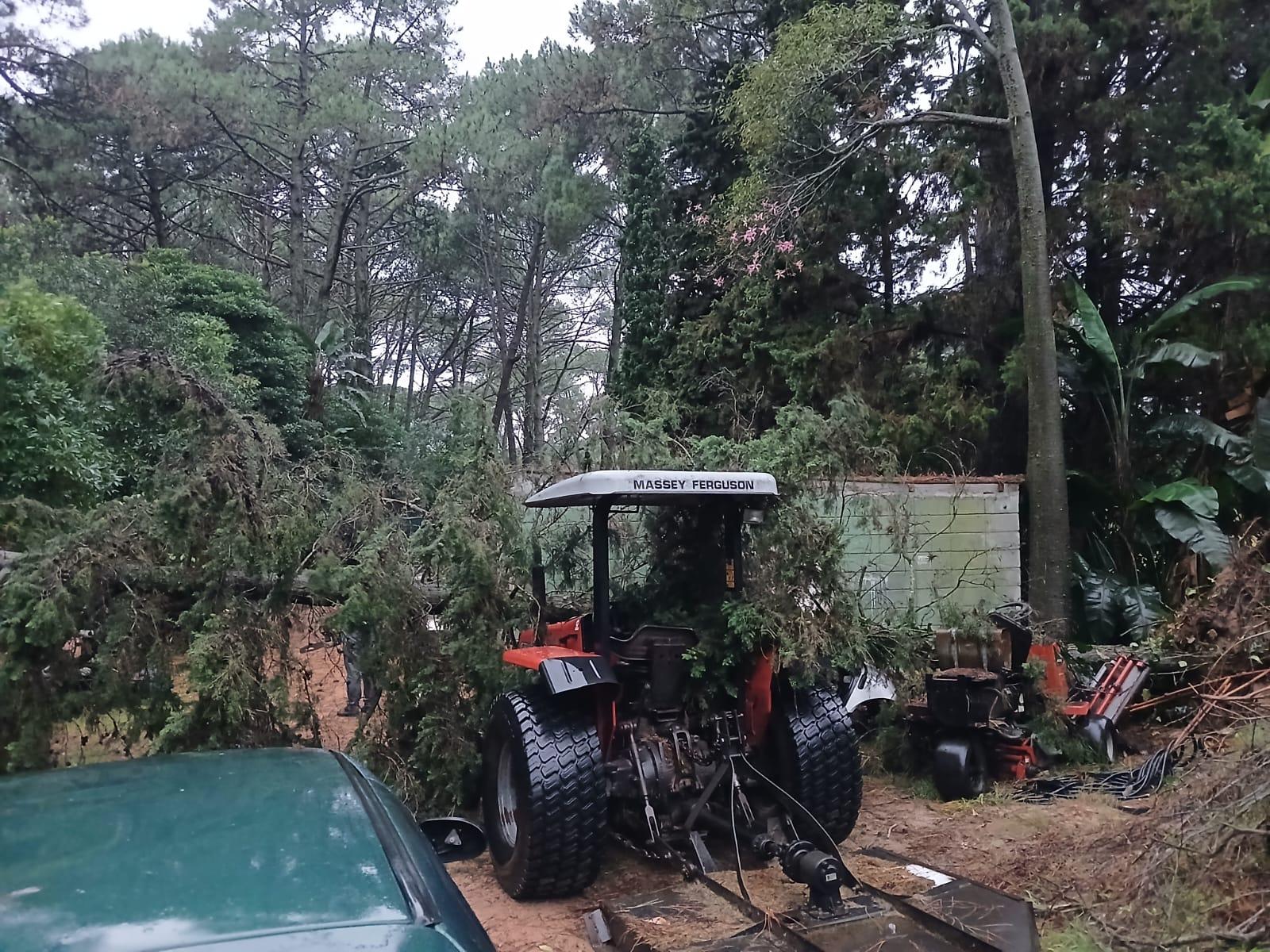 Imagen 7 de la galería