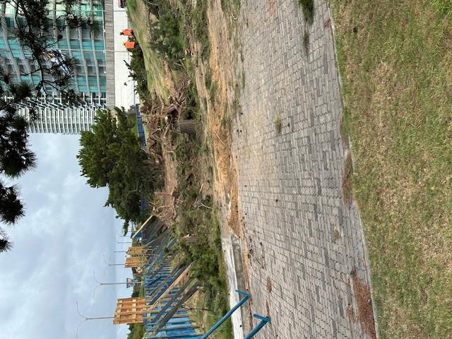 Imagen 4 de la galería