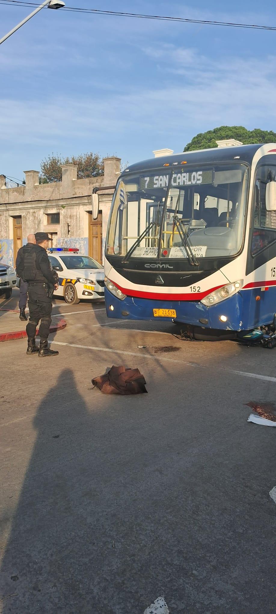 Imagen 4 de la galería