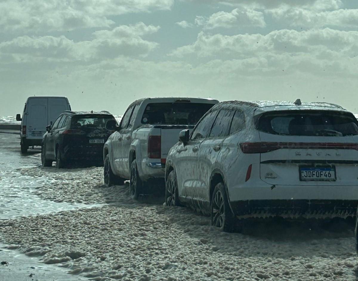 Imagen 4 de la galería