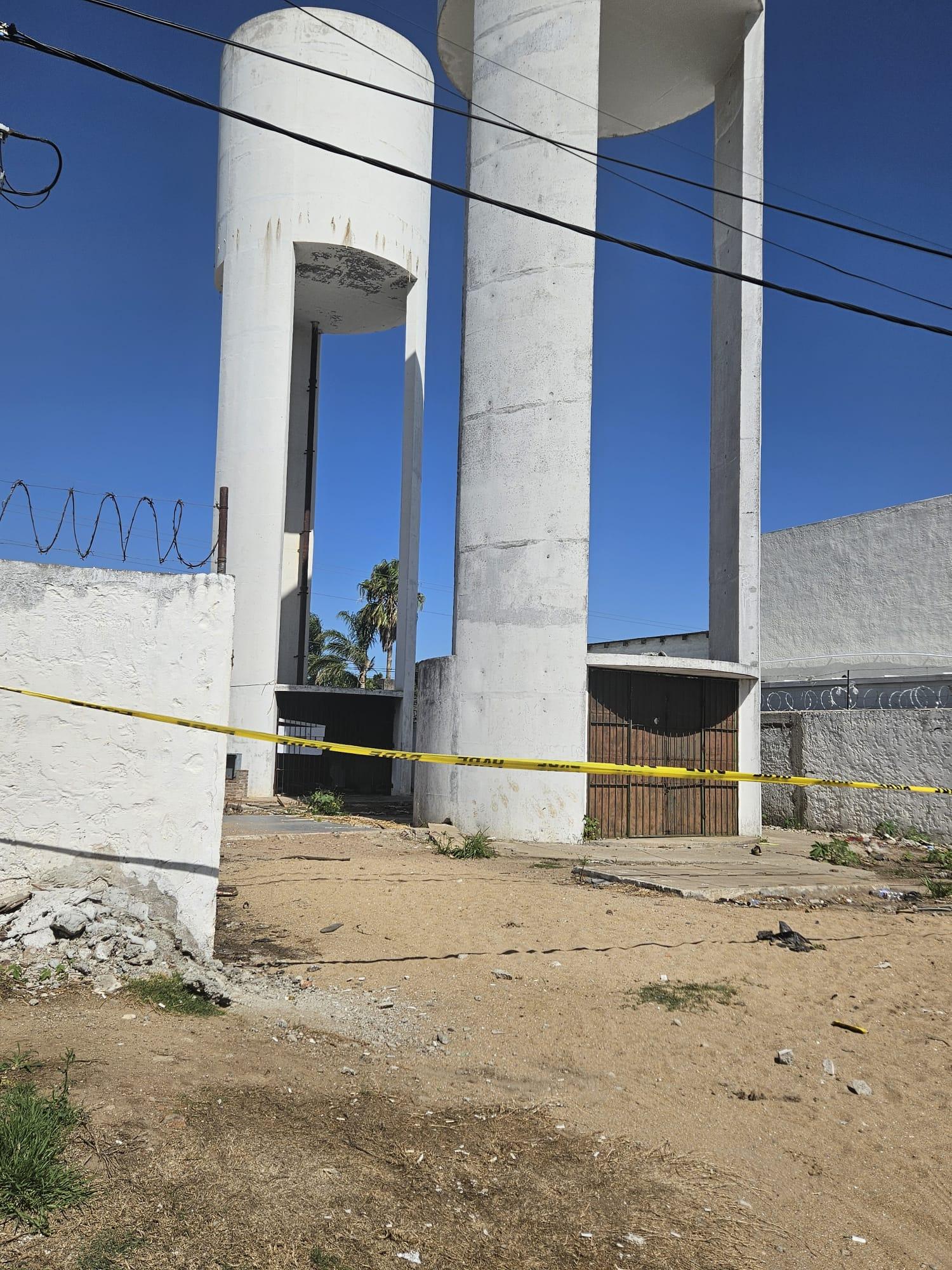 Imagen 4 de la galería