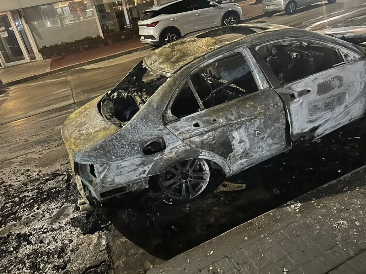 Imagen 4 de la galería