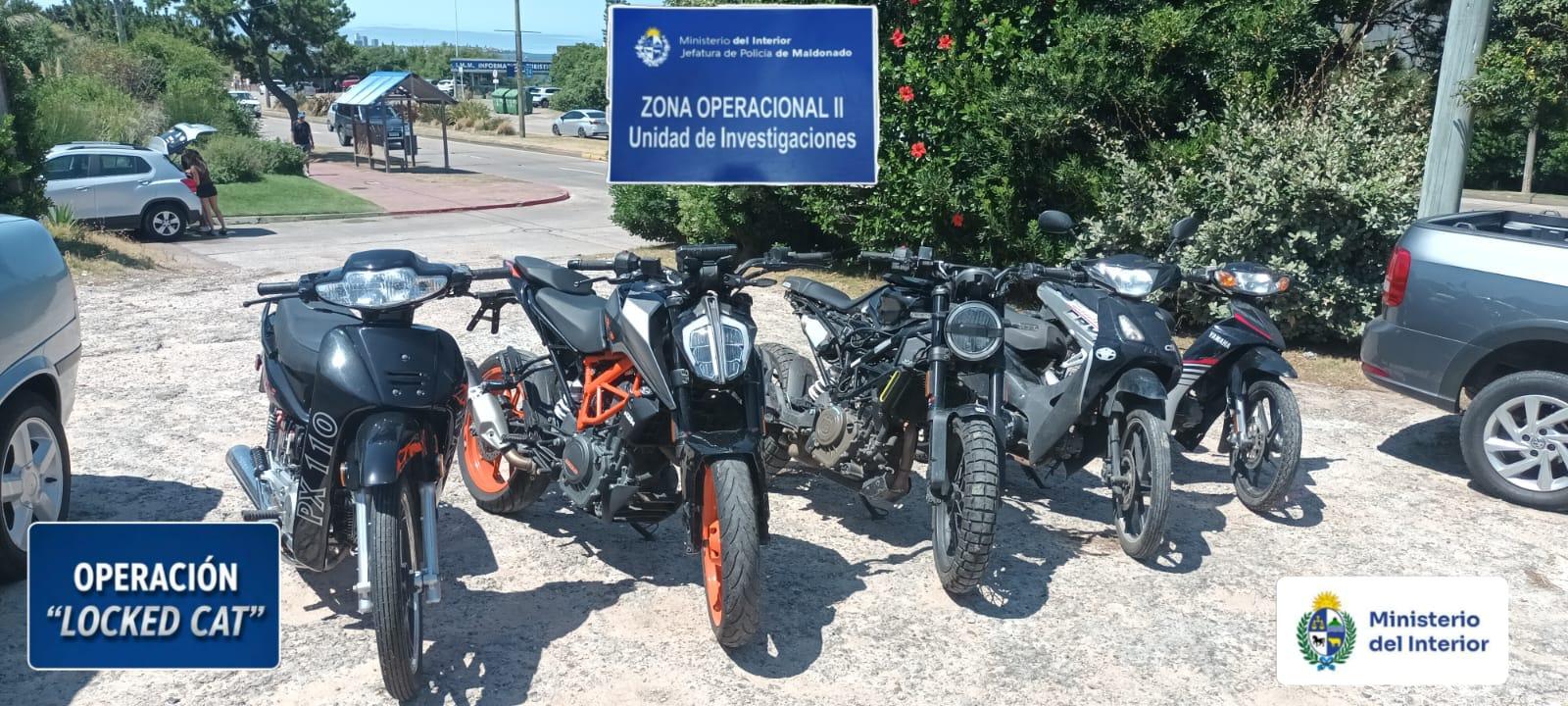 Imagen 3 de la galería