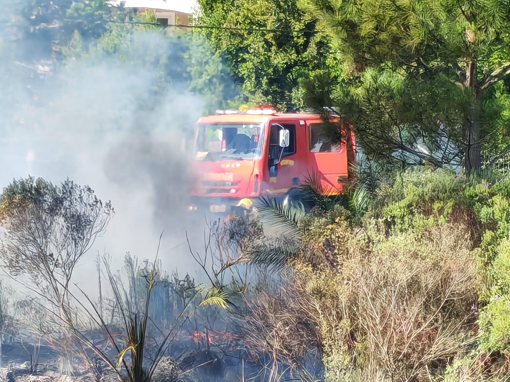 Imagen 3 de la galería