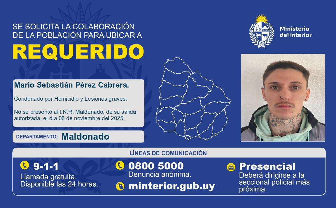 Imagen 1 de la galería