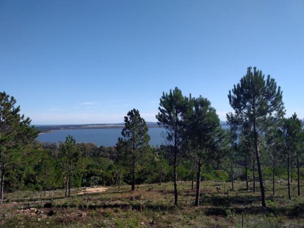 Imagen 4 de la galería