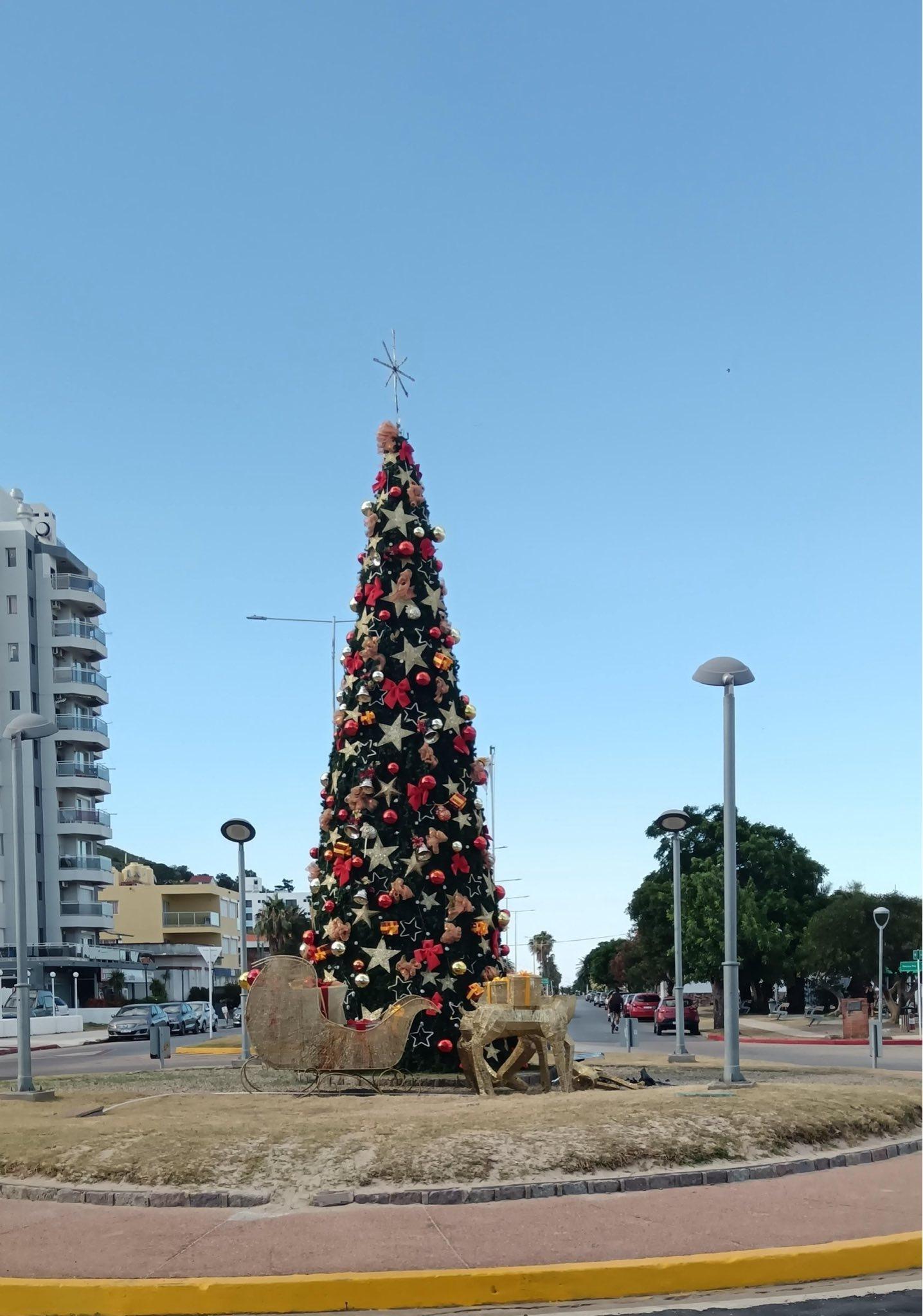 Imagen 2 de la galería