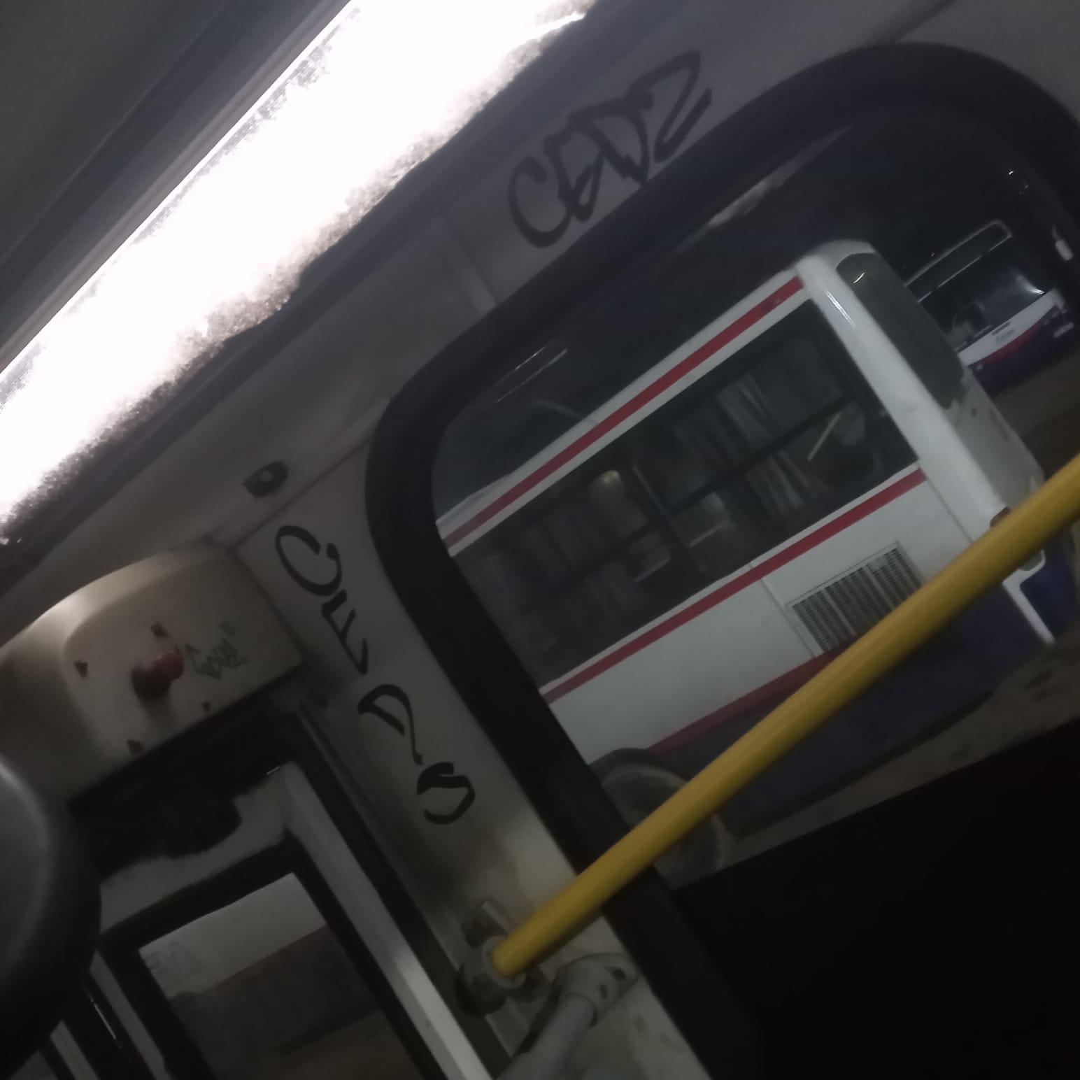 Imagen 5 de la galería