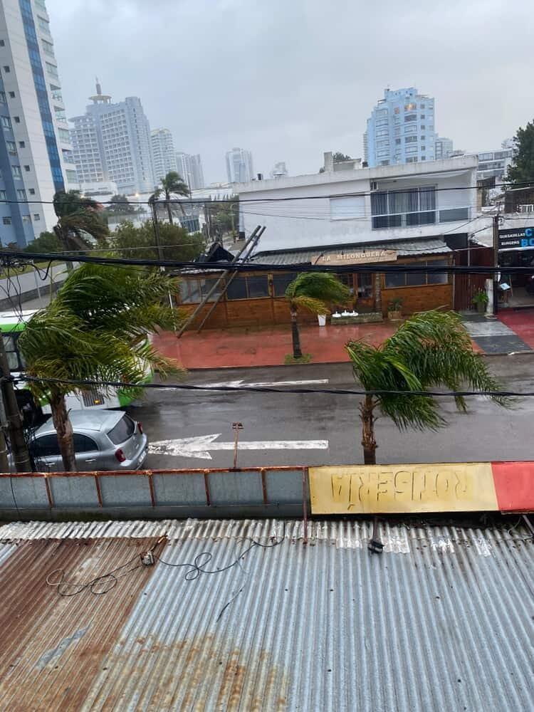 Imagen 3 de la galería