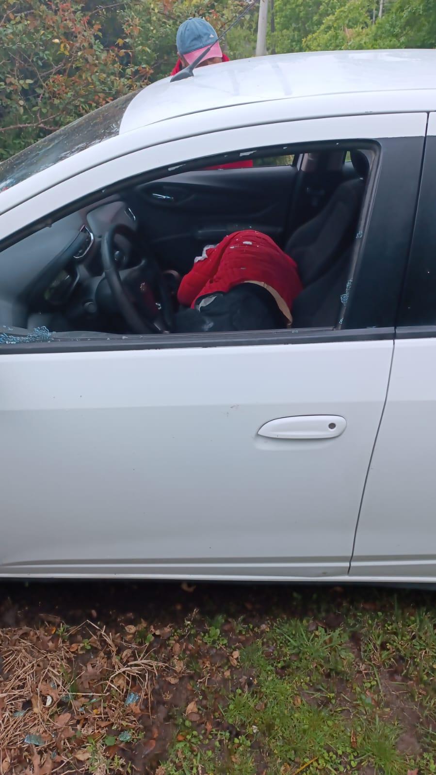 Imagen 2 de la galería