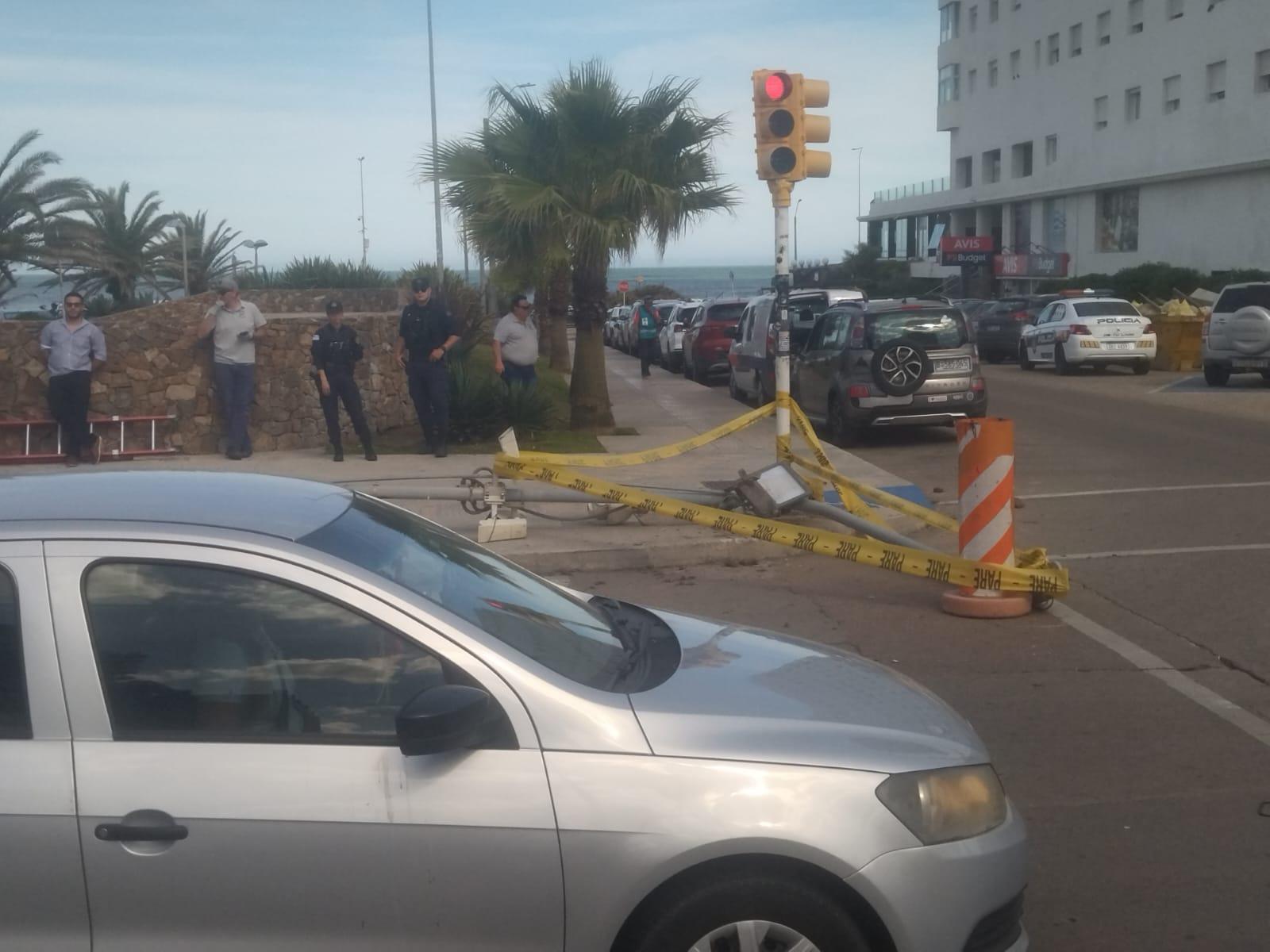 Imagen 3 de la galería