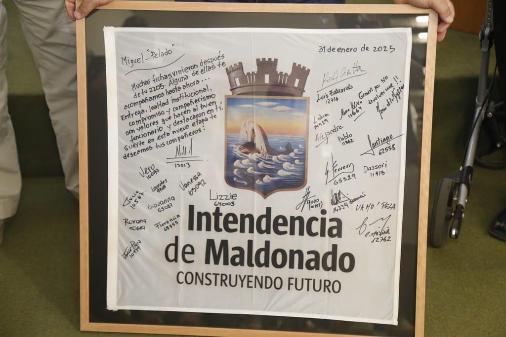 Imagen 3 de la galería