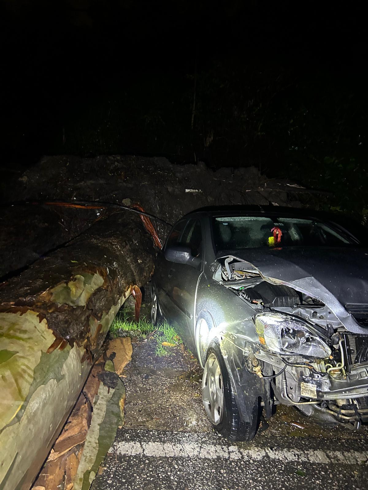 Imagen 8 de la galería