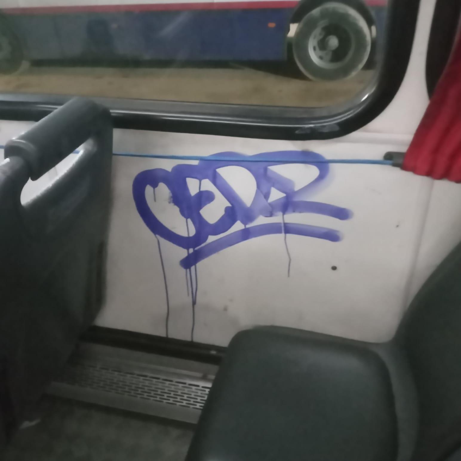 Imagen 6 de la galería