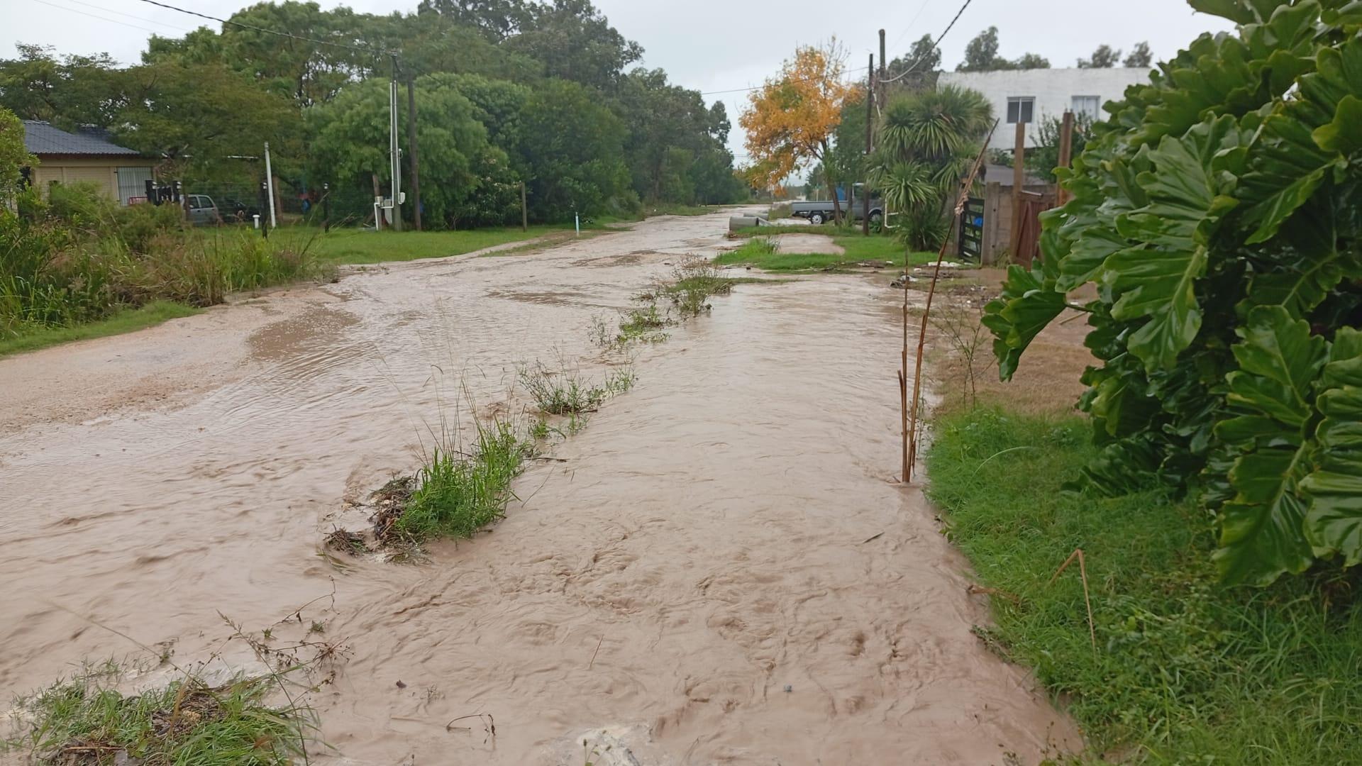 Imagen 3 de la galería