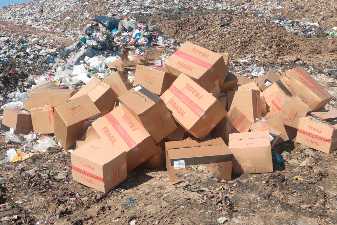 Imagen 2 de la galería